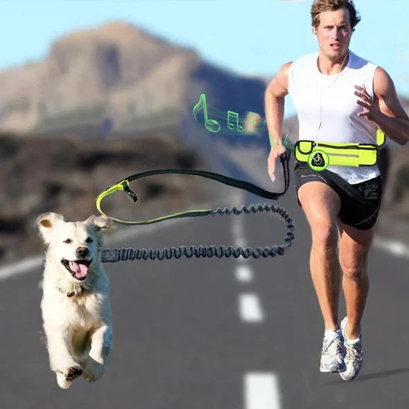 Hands Free Dog Running Leash Belt
