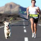 Hands Free Dog Running Leash Belt