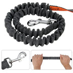 Hands Free Dog Running Leash Belt