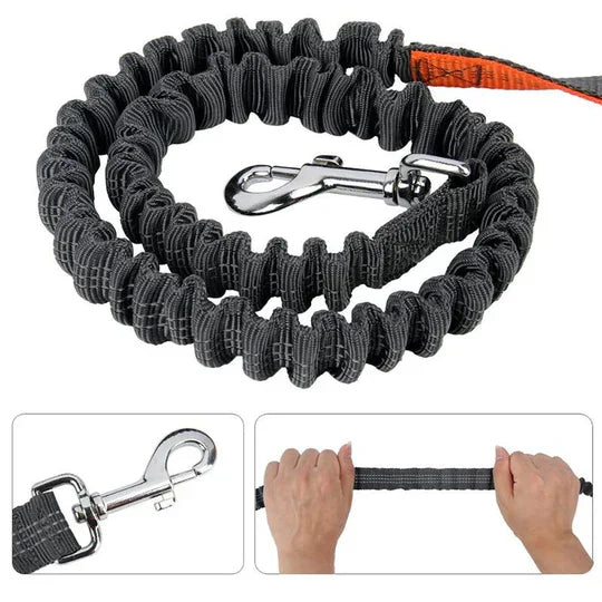 Hands Free Dog Running Leash Belt