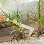 Weed Removal Tool for Garden Fissures