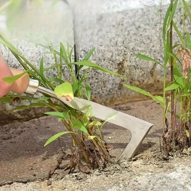 Weed Removal Tool for Garden Fissures